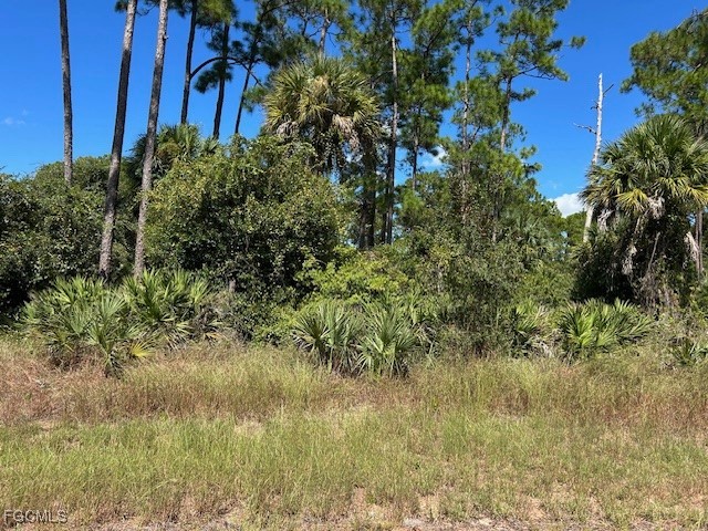 675 Nassau Circle Labelle FL 33935 2025015216 image1