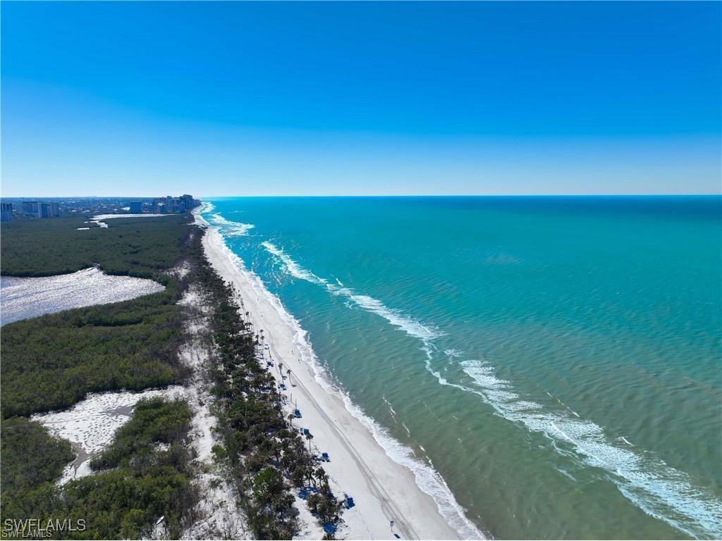 6825 Grenadier Boulevard #PH 4 Naples FL 34108 225063660 image48