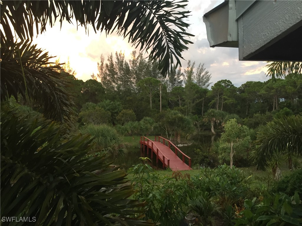 6831 Tropical Lane Bokeelia FL 33922 225033246 image4