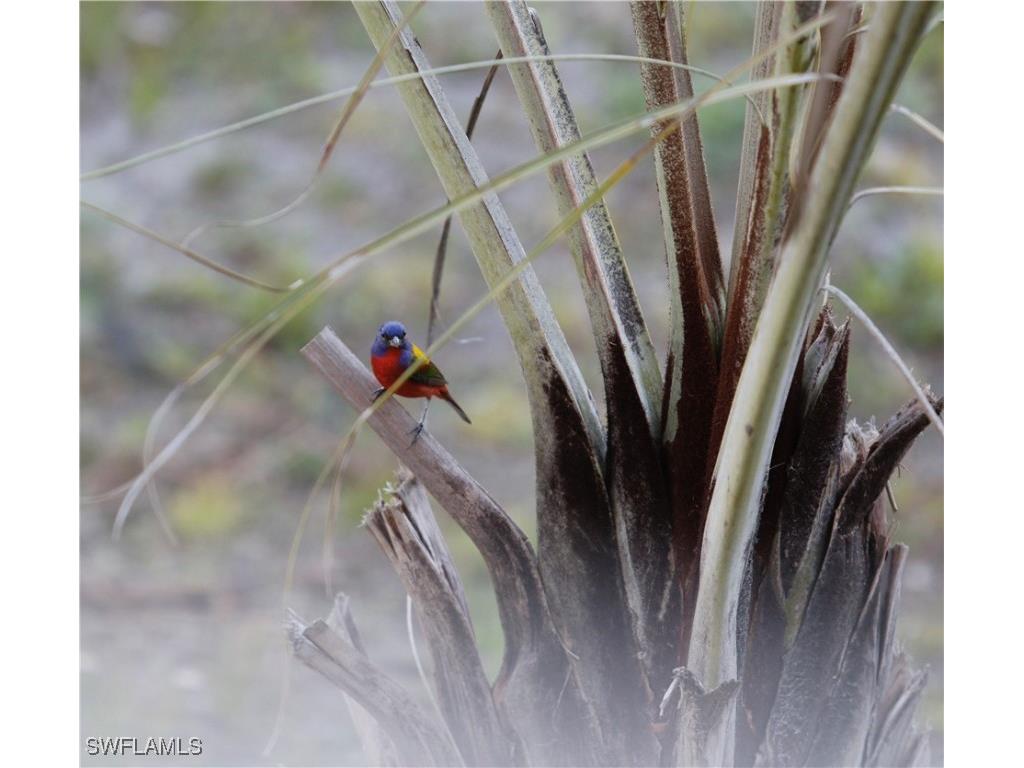 6831 Tropical Lane Bokeelia FL 33922 225033246 image42