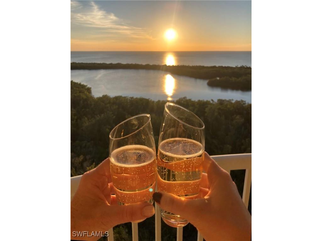 6849 Grenadier Boulevard #1803 Naples FL 34108 225068985 image1