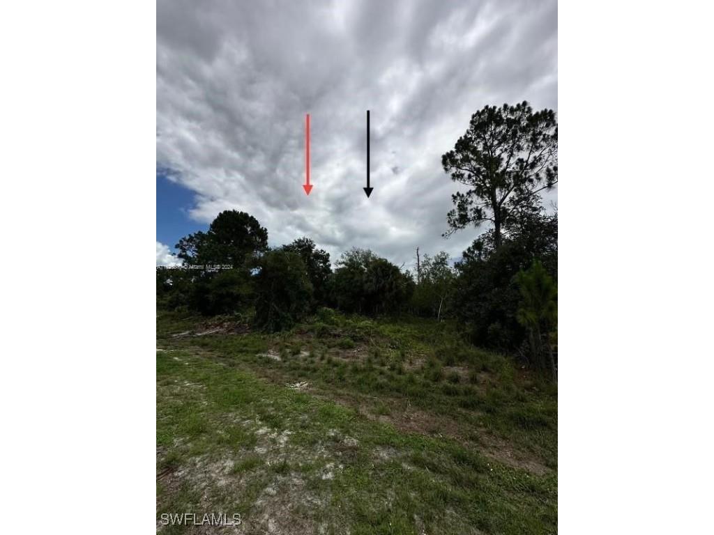 685 N Cabbage Palm Street Clewiston FL 33430 225063287 image4