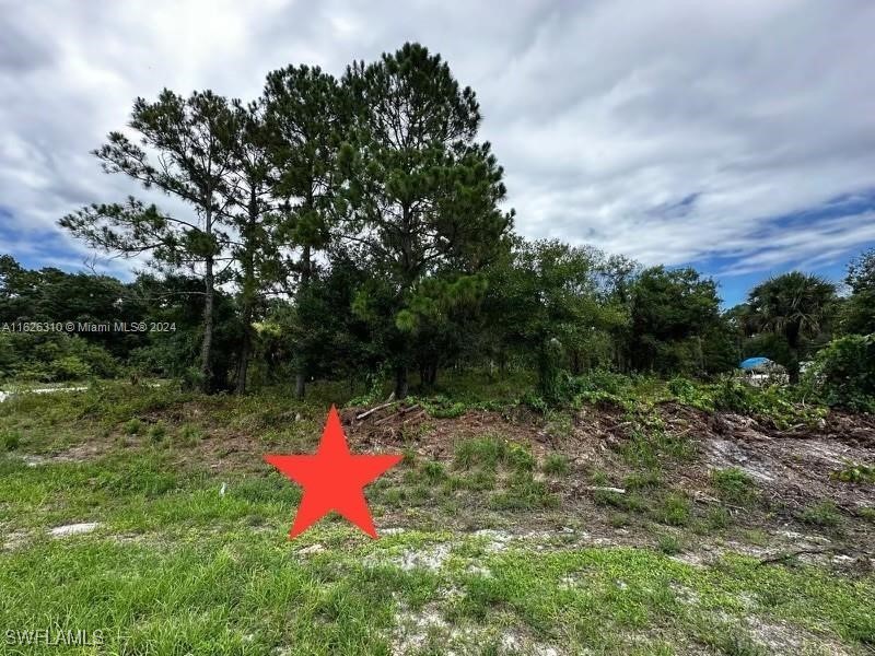 685 N Cabbage Palm Street Clewiston FL 33430 225063287 image6