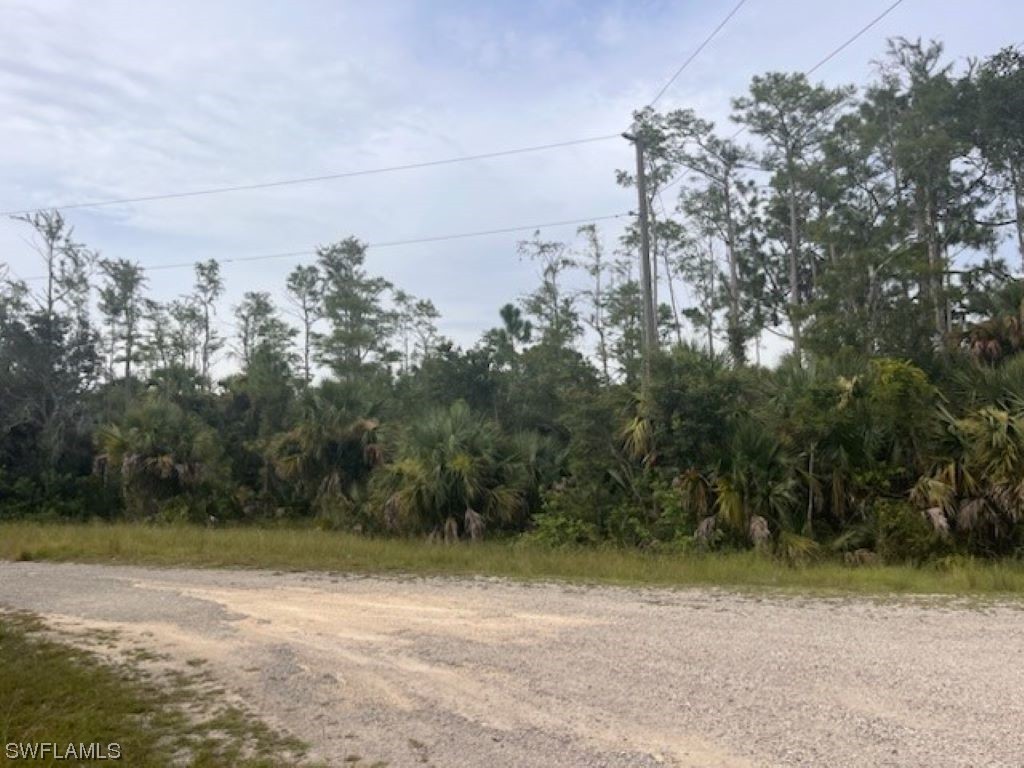 686 Ledge Street Lehigh Acres FL 33972 223054369 image1