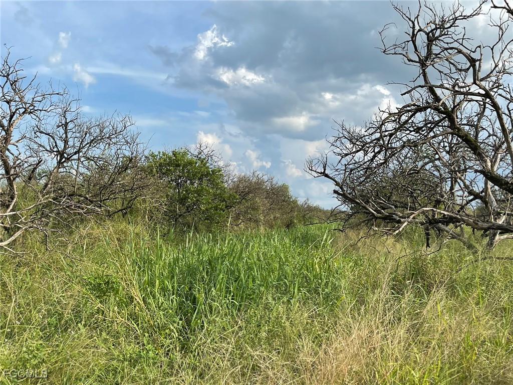 6876 5th Road Labelle FL 33935 2026000242 image1