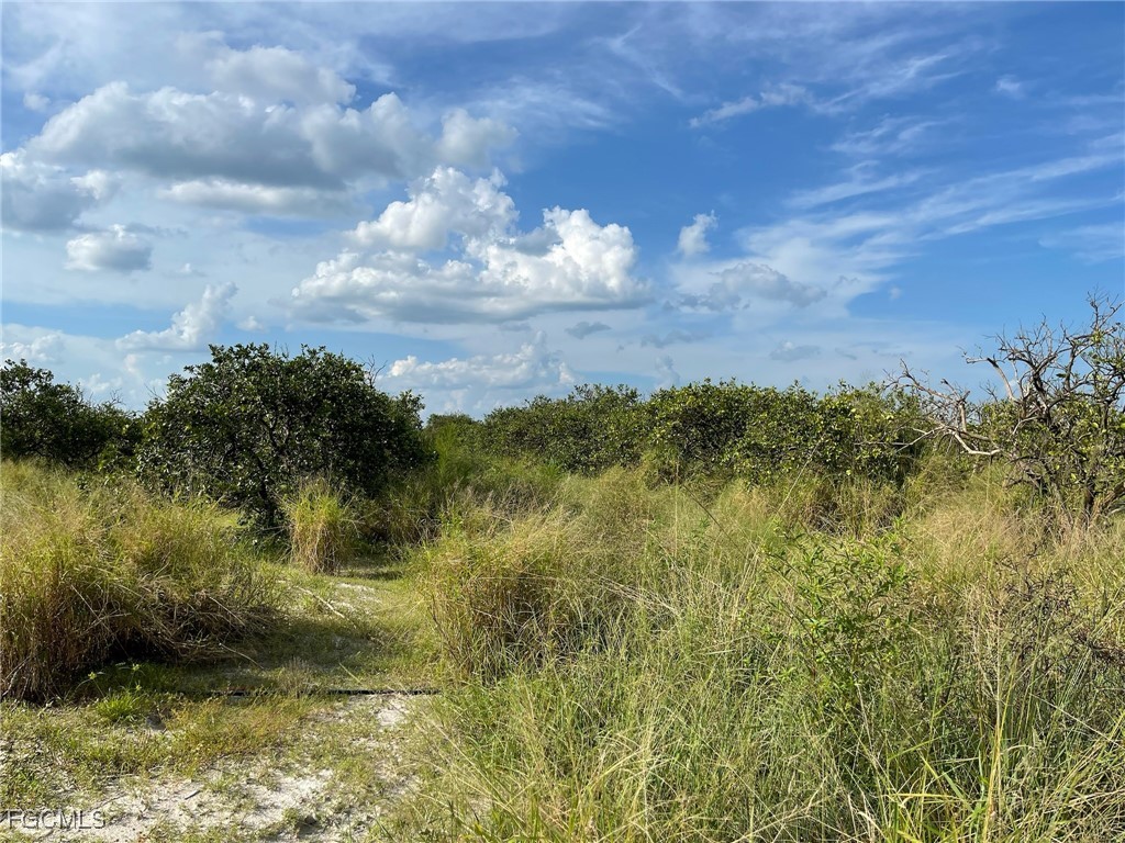 6876 5th Road Labelle FL 33935 2026000242 image3