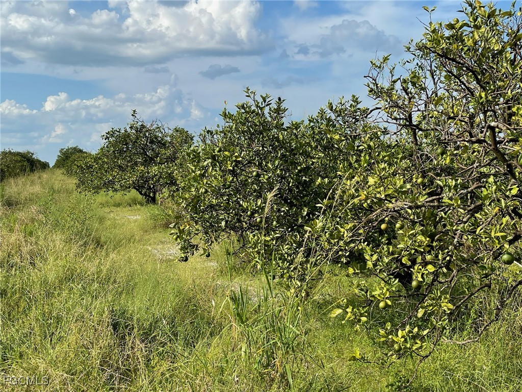 6876 5th Road Labelle FL 33935 2026000242 image4