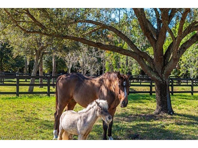 6920 Daniels Road Naples FL 34109 225077194 image21