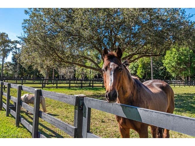 6920 Daniels Road Naples FL 34109 225077194 image22