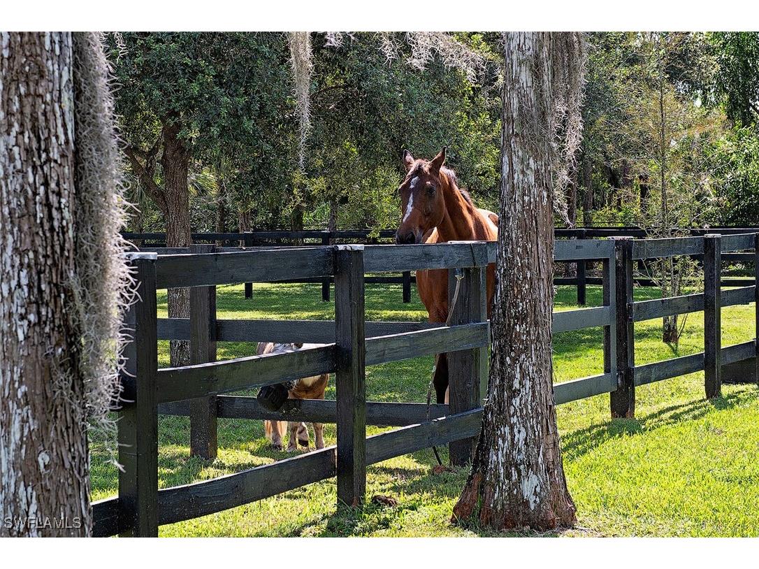 6920 Daniels Road Naples FL 34109 225077194 image23