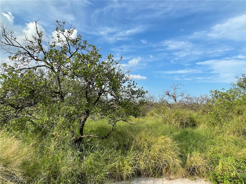6925 6th Road Labelle FL 33935 2026000246 image1