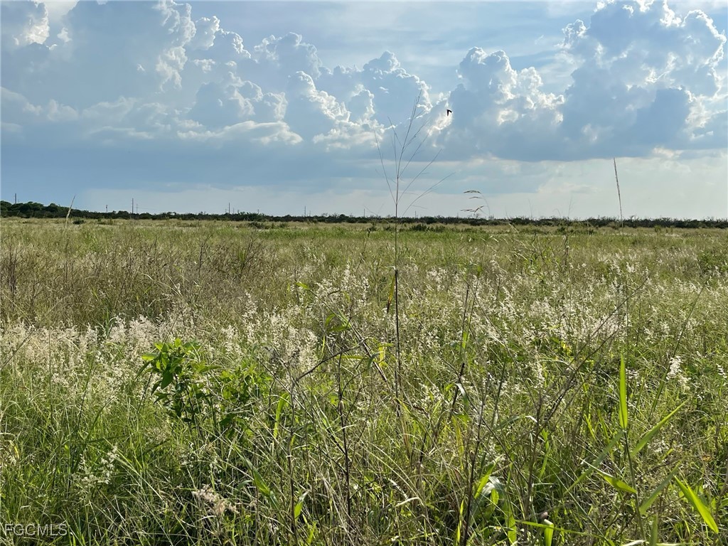 6985 6th Road Labelle FL 33935 2026006561 image1