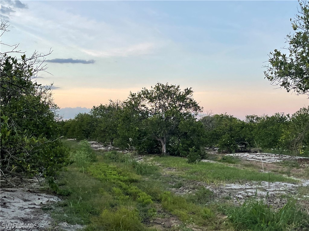 6th Rd Labelle FL 33935 224056899 image1