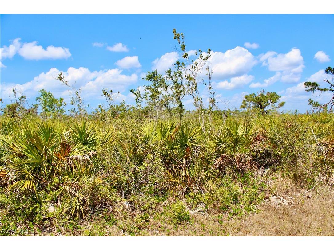 7 Wake Court Placida FL 33946 223022934 image3