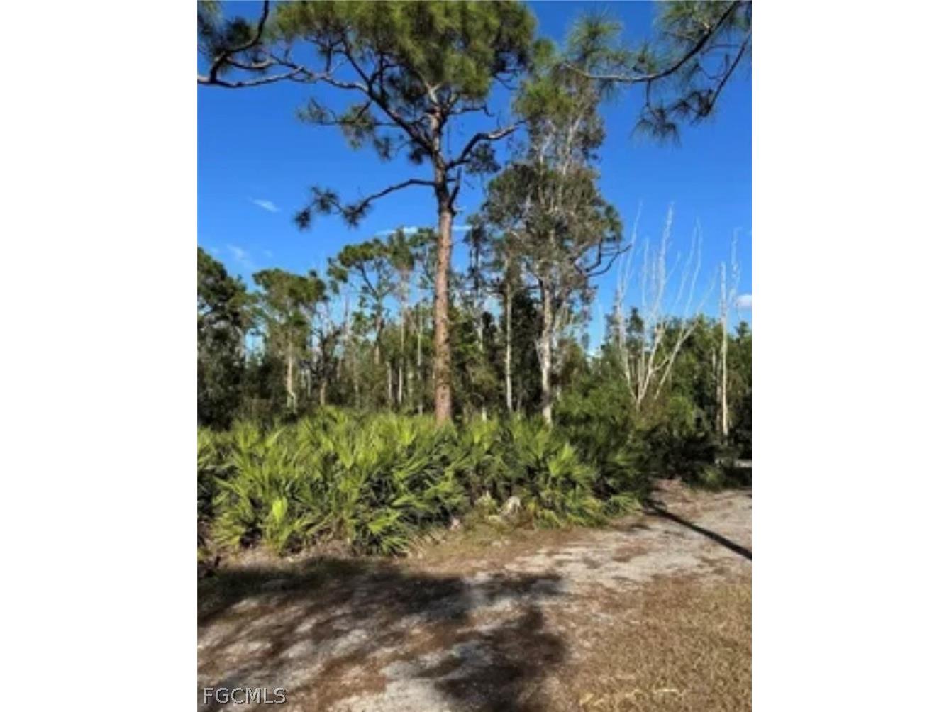 7000 Guava Avenue Bokeelia FL 33922 2026011028 image11