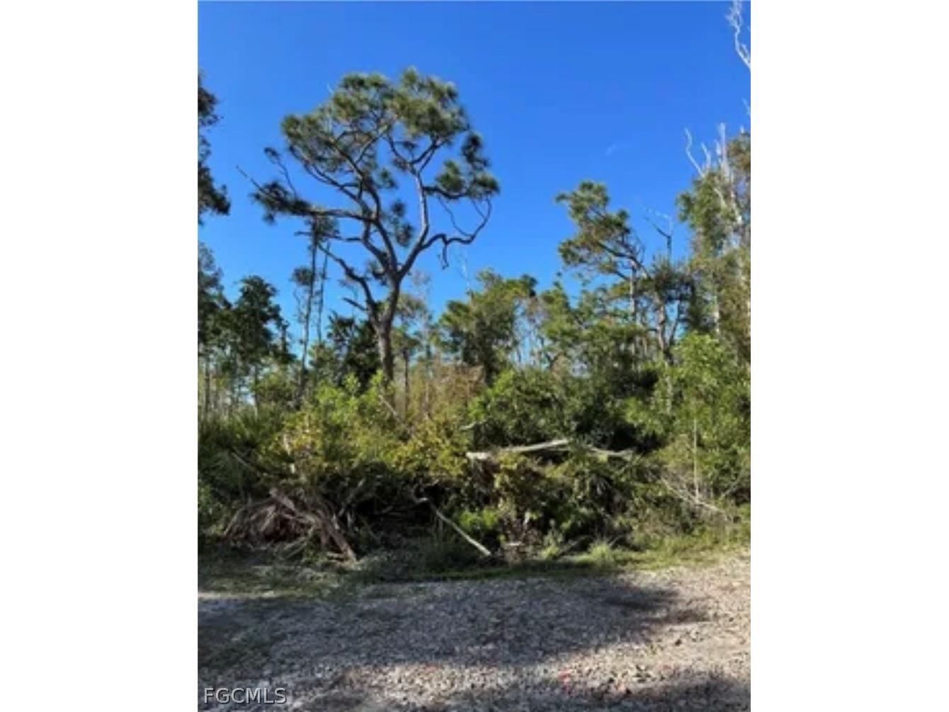 7000 Guava Avenue Bokeelia FL 33922 2026011028 image6