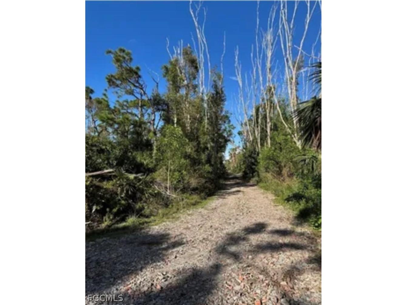7000 Guava Avenue Bokeelia FL 33922 2026011028 image7
