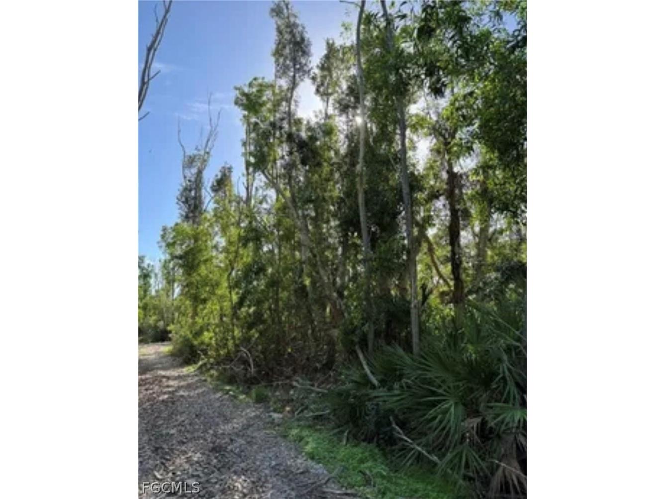 7000 Guava Avenue Bokeelia FL 33922 2026011028 image8