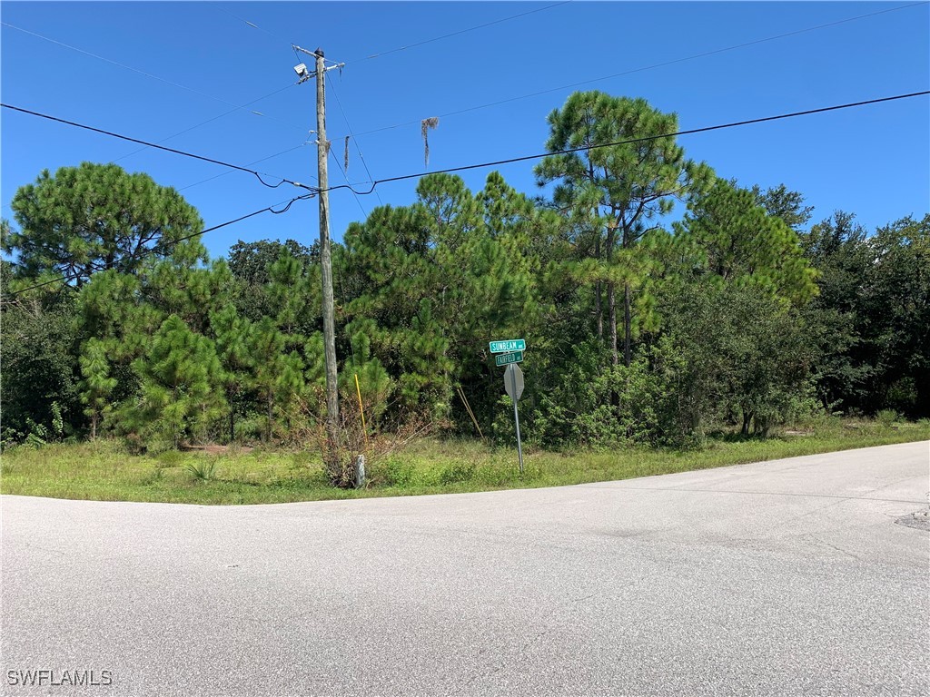 701 Fairfield Avenue Lake Placid FL 33852 225046410 image1