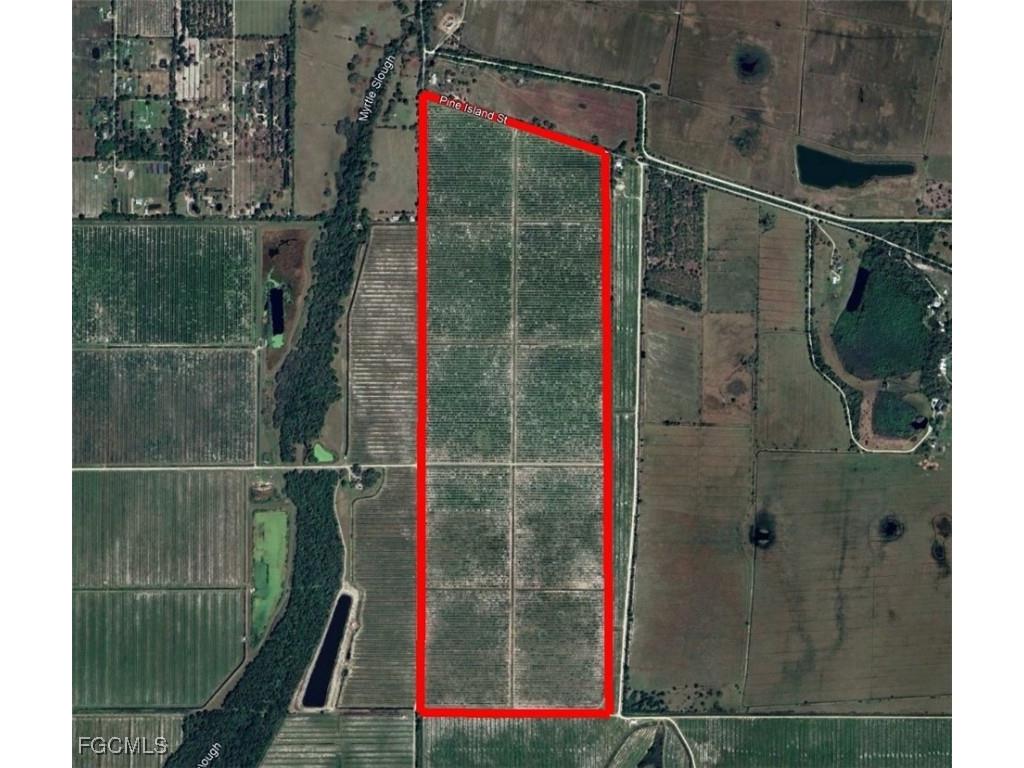 7019 SE Prairie Creek Road Arcadia FL 34266 2025018924 image1