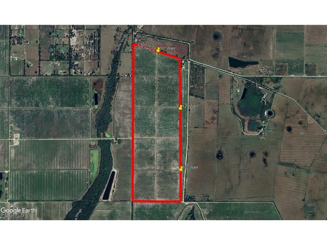 7019 SE Prairie Creek Road Arcadia FL 34266 2025018924 image3