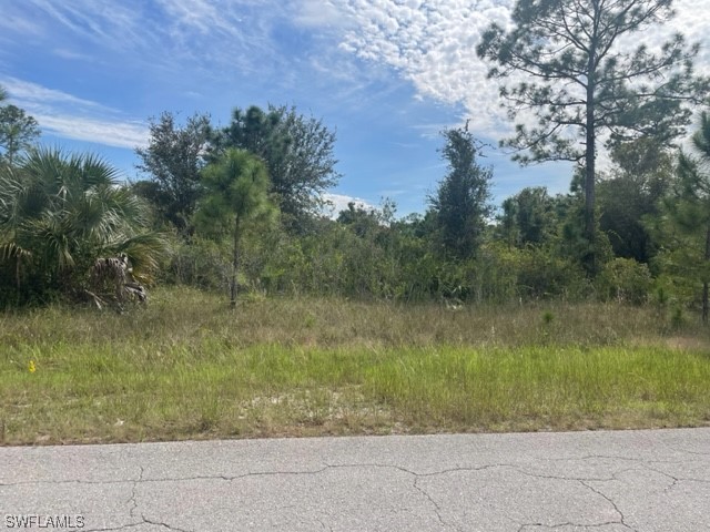 702 E 13th Street Lehigh Acres FL 33972 223073572 image1