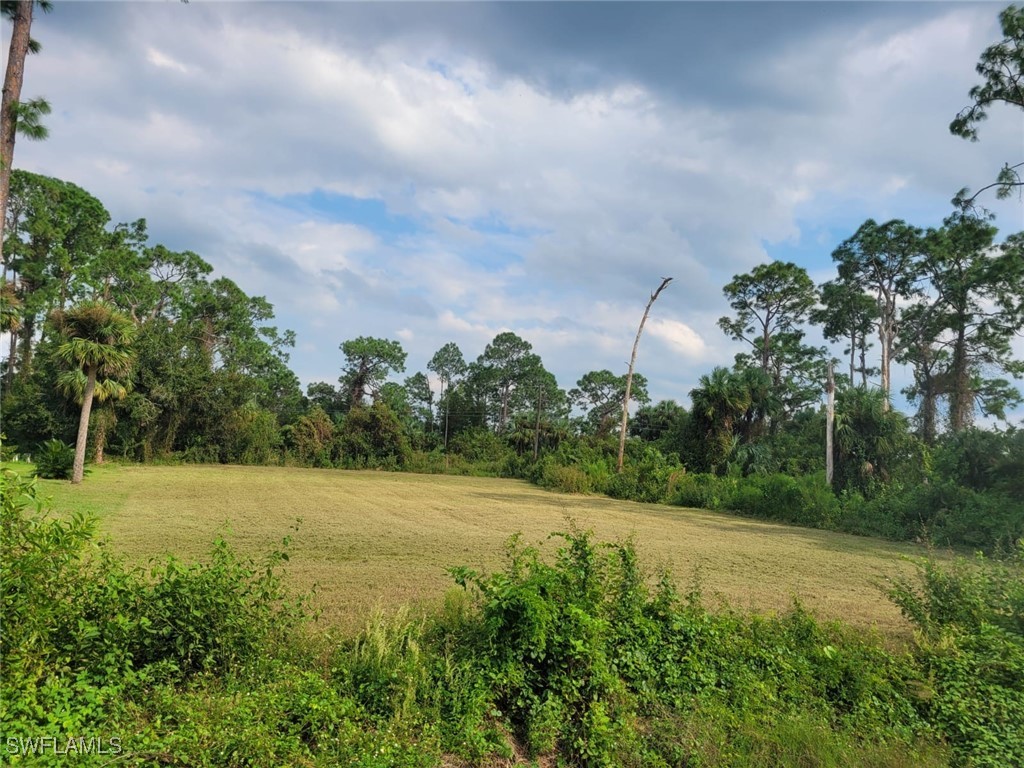 702 James Avenue Lehigh Acres FL 33936 224060330 image2