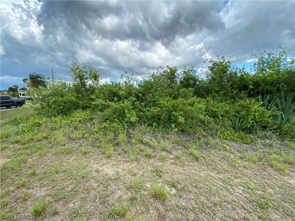 703 Bert Avenue N Lehigh Acres FL 33971 223039463 image1