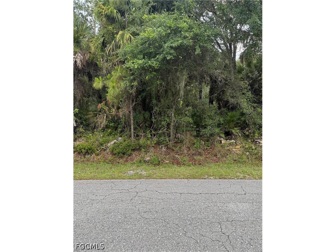 703 Cleveland Avenue Lehigh Acres FL 33972 2026025751 image1