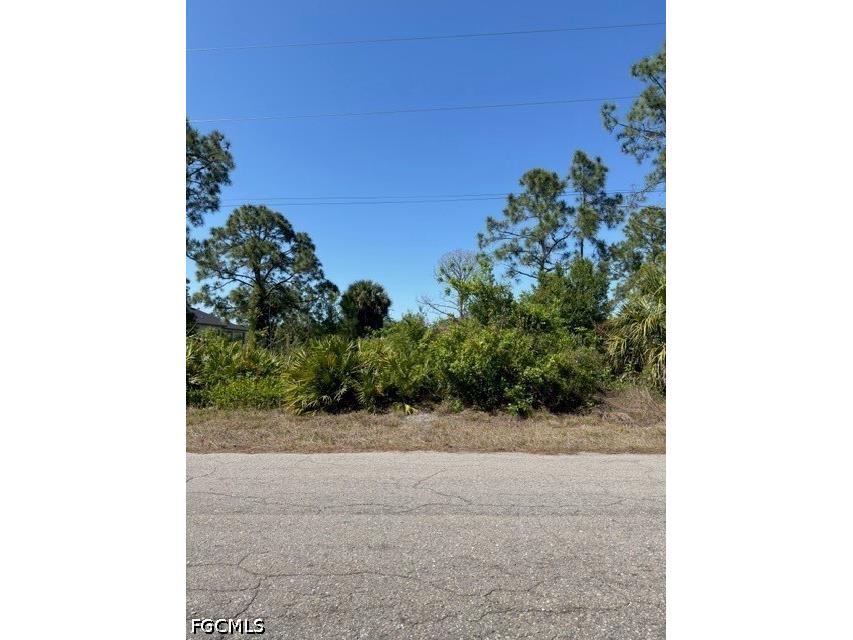 703 E 11th Street Lehigh Acres FL 33972 2026018367 image1