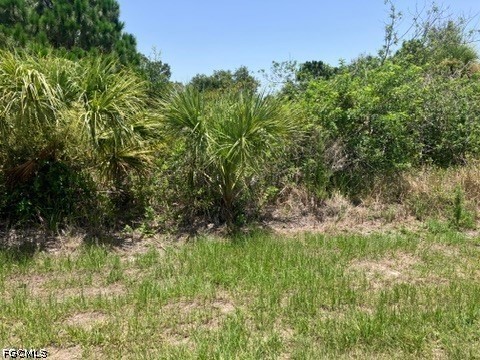 7034 Kaler Street Port Charlotte FL 33981 2026029721 image2