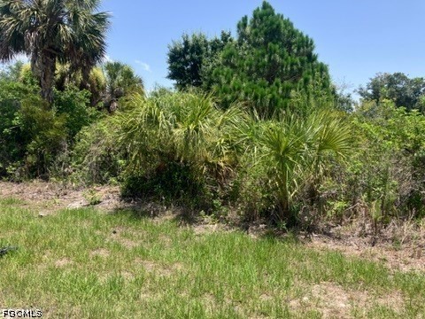 7034 Kaler Street Port Charlotte FL 33981 2026029721 image3