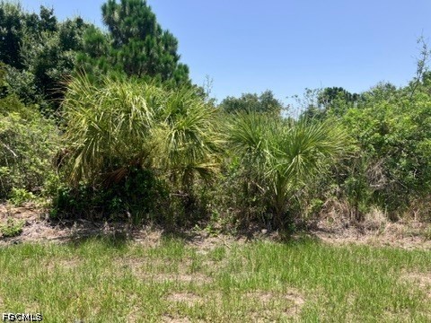 7034 Kaler Street Port Charlotte FL 33981 2026029721 image4