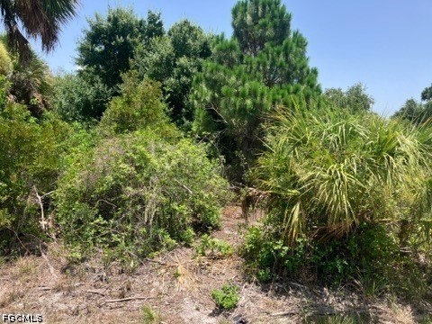 7034 Kaler Street Port Charlotte FL 33981 2026029721 image5