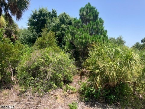 7034 Kaler Street Port Charlotte FL 33981 2026029721 image6
