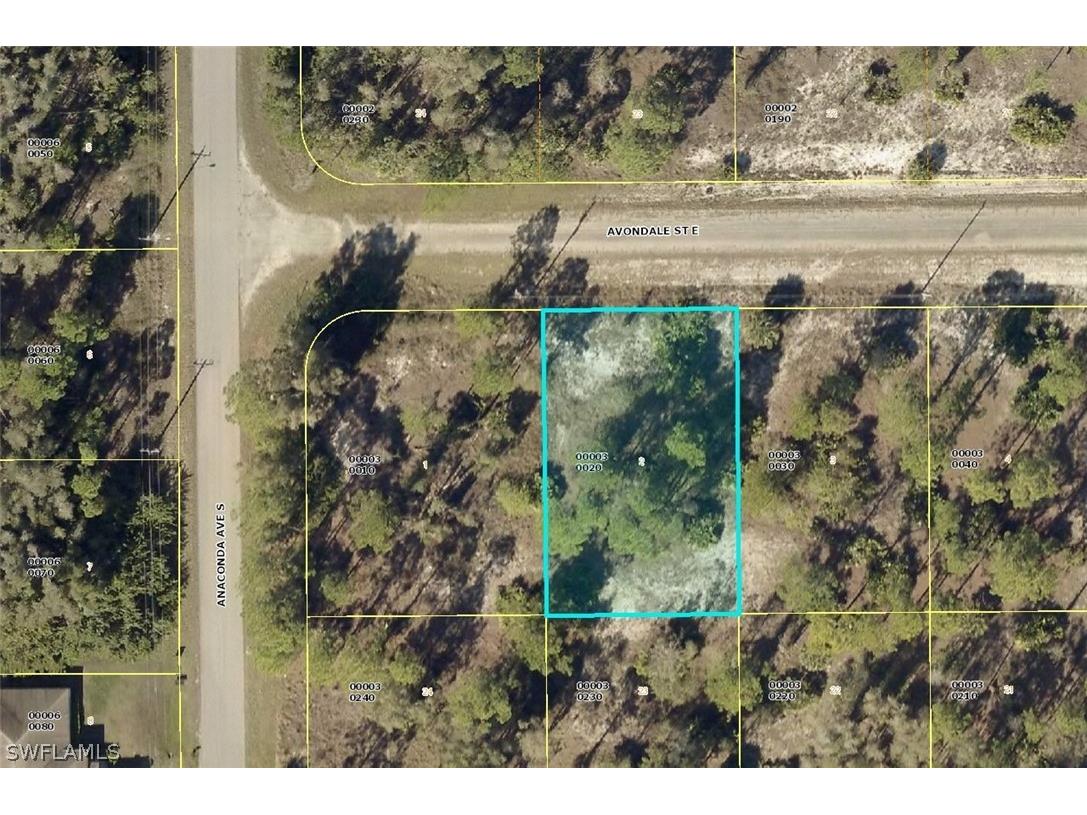 704 Avondale Street E Lehigh Acres FL 33974 223010788 image1