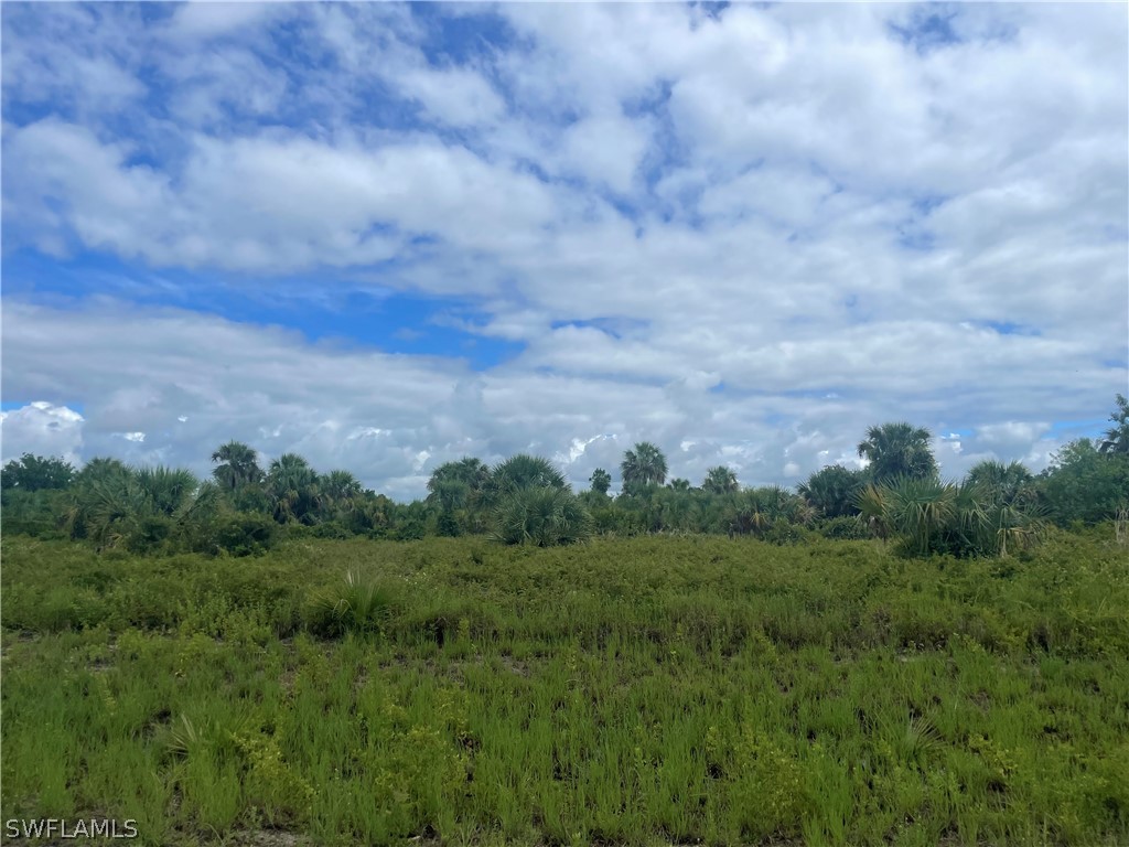 704 Delphi Court Labelle FL 33935 224051660 image1