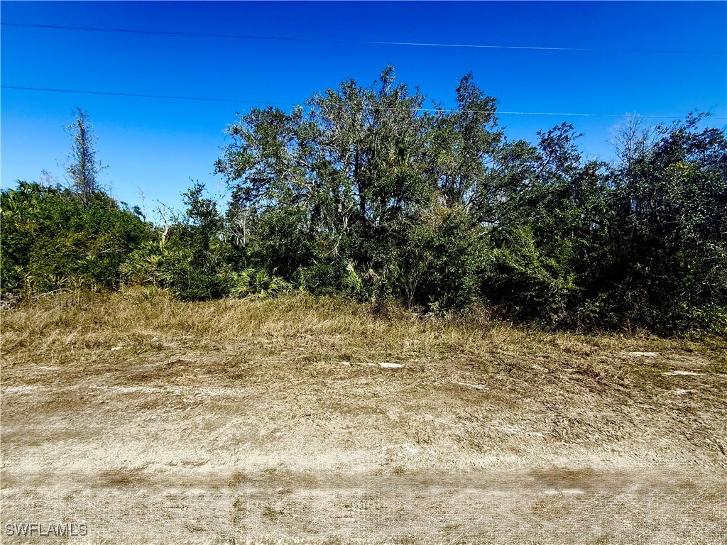 704 Ledge Street Lehigh Acres FL 33972 225010006 image1