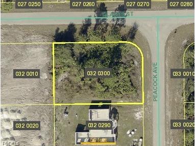704 Peacock Avenue Lehigh Acres FL 33974 2026006997 image1