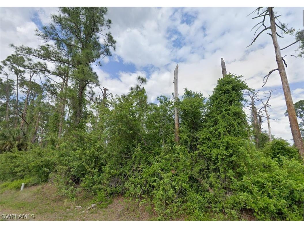 704 Wellington Avenue Lehigh Acres FL 33972 226007911 image1