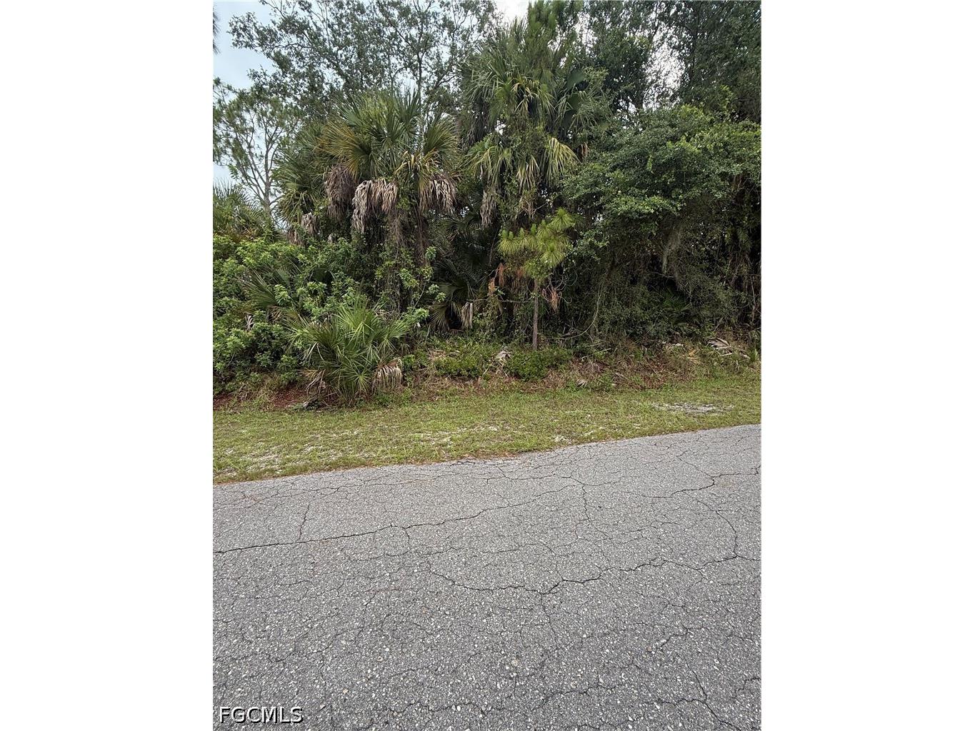 705 Cleveland Avenue Lehigh Acres FL 33972 2026025784 image1