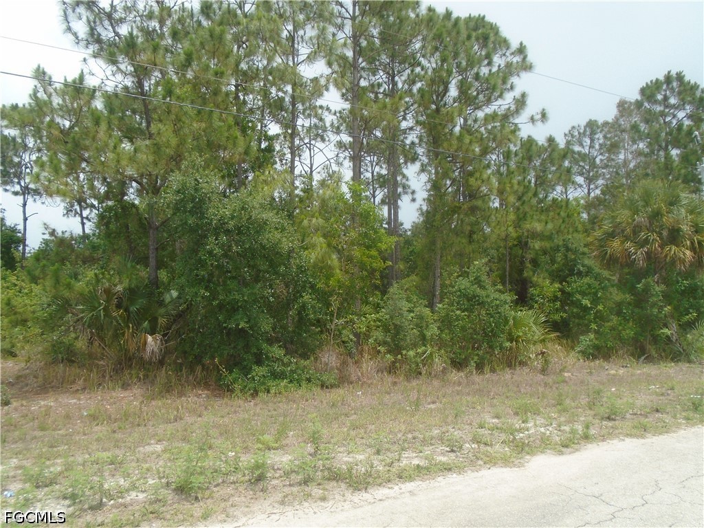 705 Creuset Avenue S Lehigh Acres FL 33974 2026023505 image1