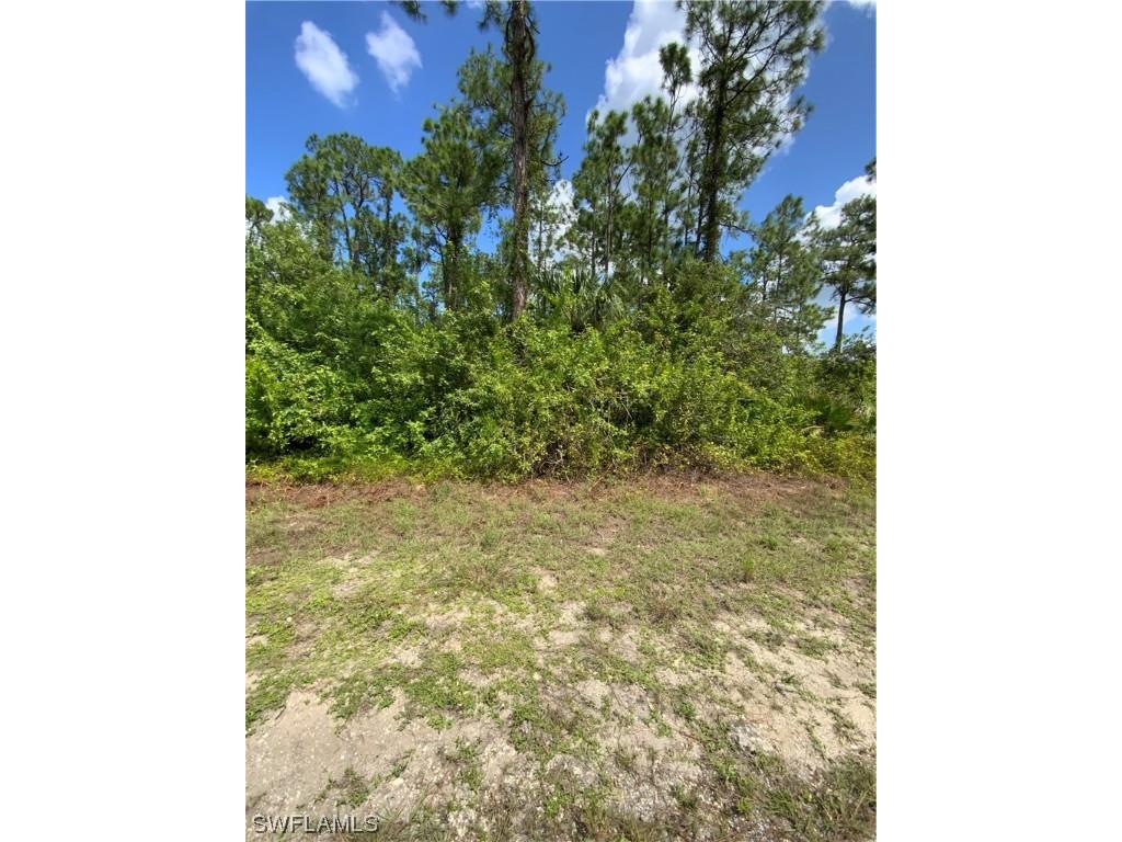 705 E 16th Street Lehigh Acres FL 33972 223063011 image1