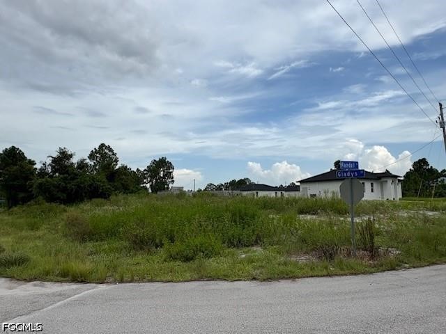 705 Randall Avenue E Lehigh Acres FL 33974 2026025281 image3