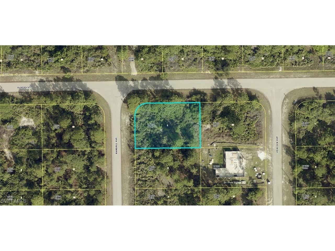 705 Randall Avenue E Lehigh Acres FL 33974 224071423 image1