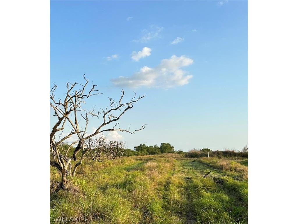 7050 6th Road Labelle FL 33935 224050794 image1