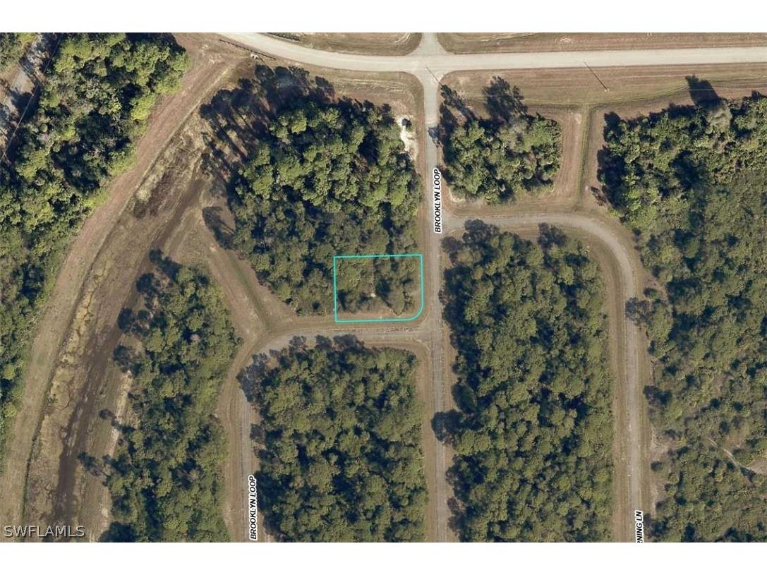 706 Brooklyn Loop Labelle FL 33935 226010417 image1