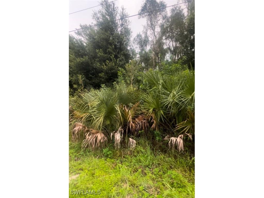 706 Delridge Avenue S Lehigh Acres FL 33974 225061578 image1