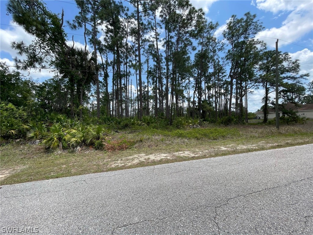 706 Johns Avenue Lehigh Acres FL 33972 222022354 image1