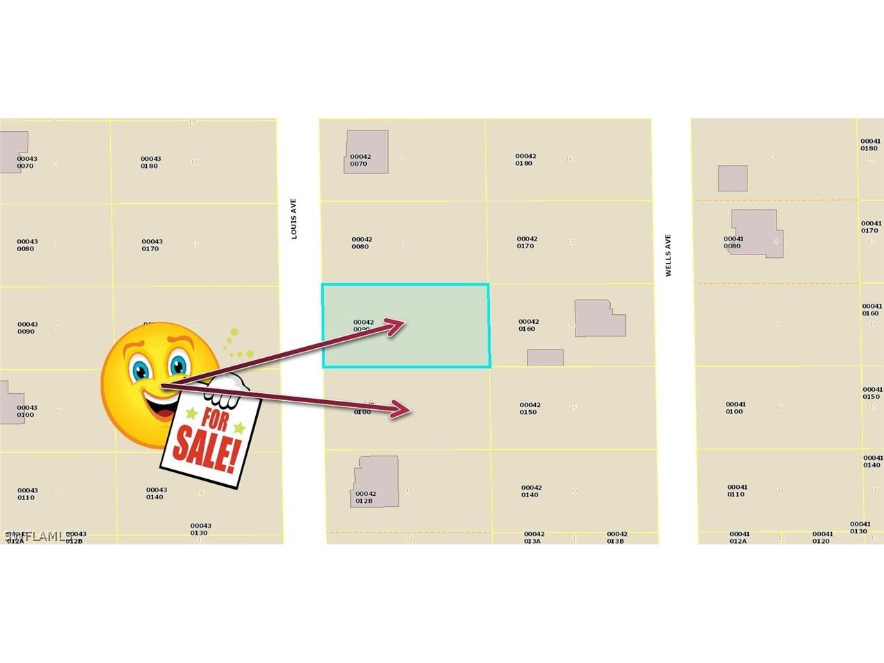 706 Louis Avenue Lehigh Acres FL 33972 223010760 image1